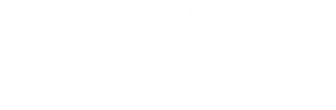 Logotipo do Hospital São Luiz Anália Franco