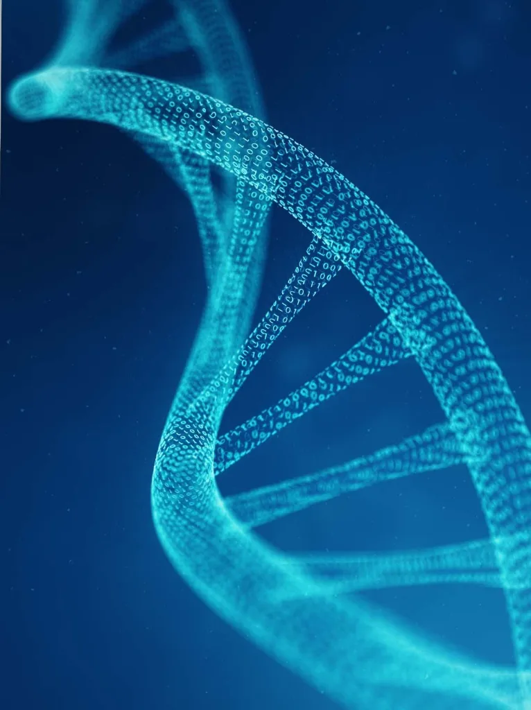 Hélice de DNA em azul, ilustrando mapeamento genético e longevidade